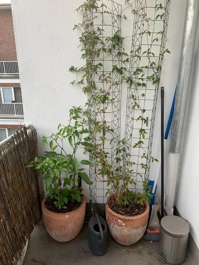 Zentrales Appartement